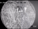 Камера ночного видения лазера долгосрочная ультракрасная интегрированная с иллюминатором лазера Нир